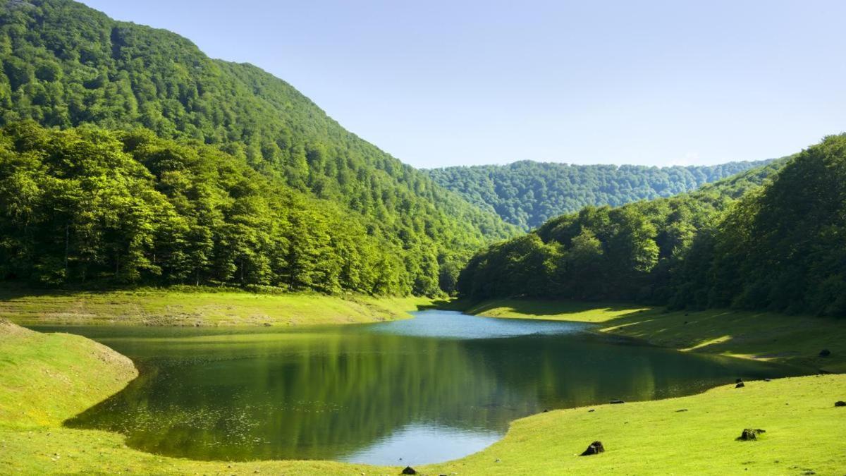 Casa Rural Arotzenia, Hogar Rustico En Pleno Valle De La Ulzama Lizaso Екстер'єр фото