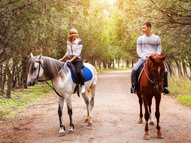 Casa Rural Arotzenia, Hogar Rustico En Pleno Valle De La Ulzama Lizaso Екстер'єр фото