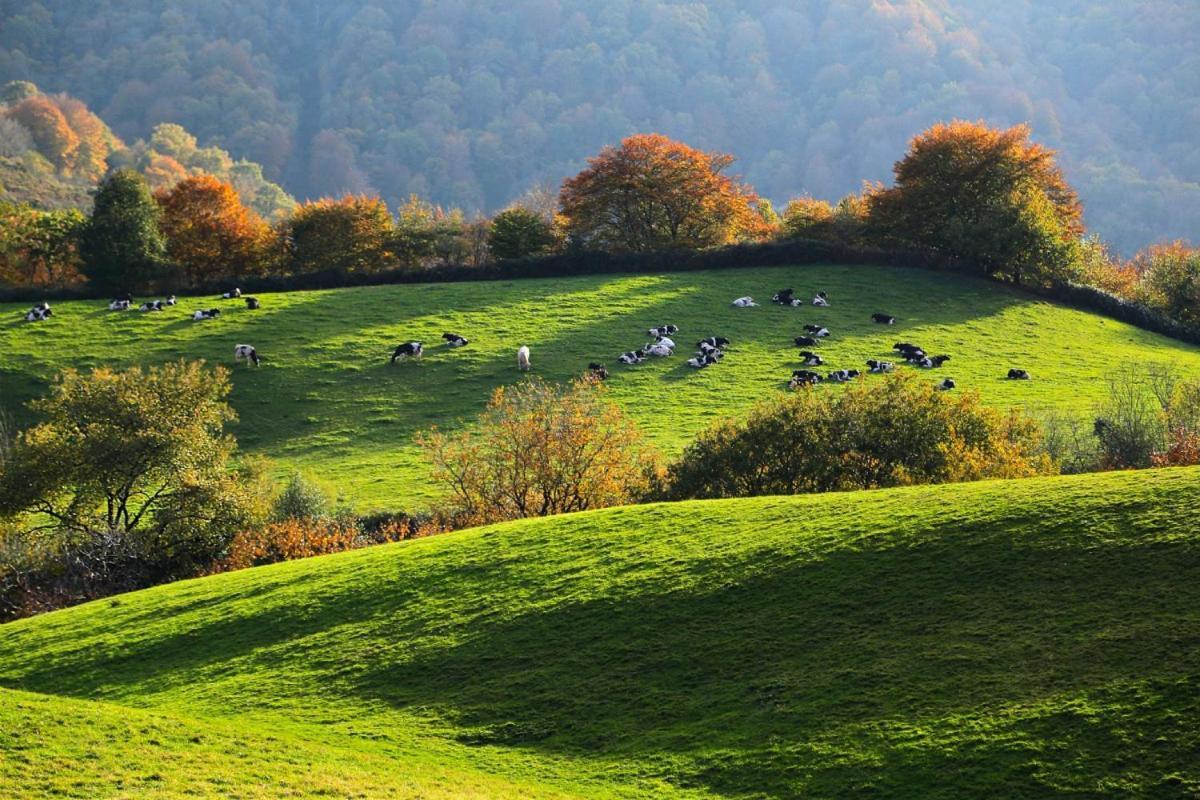 Casa Rural Arotzenia, Hogar Rustico En Pleno Valle De La Ulzama Lizaso Екстер'єр фото