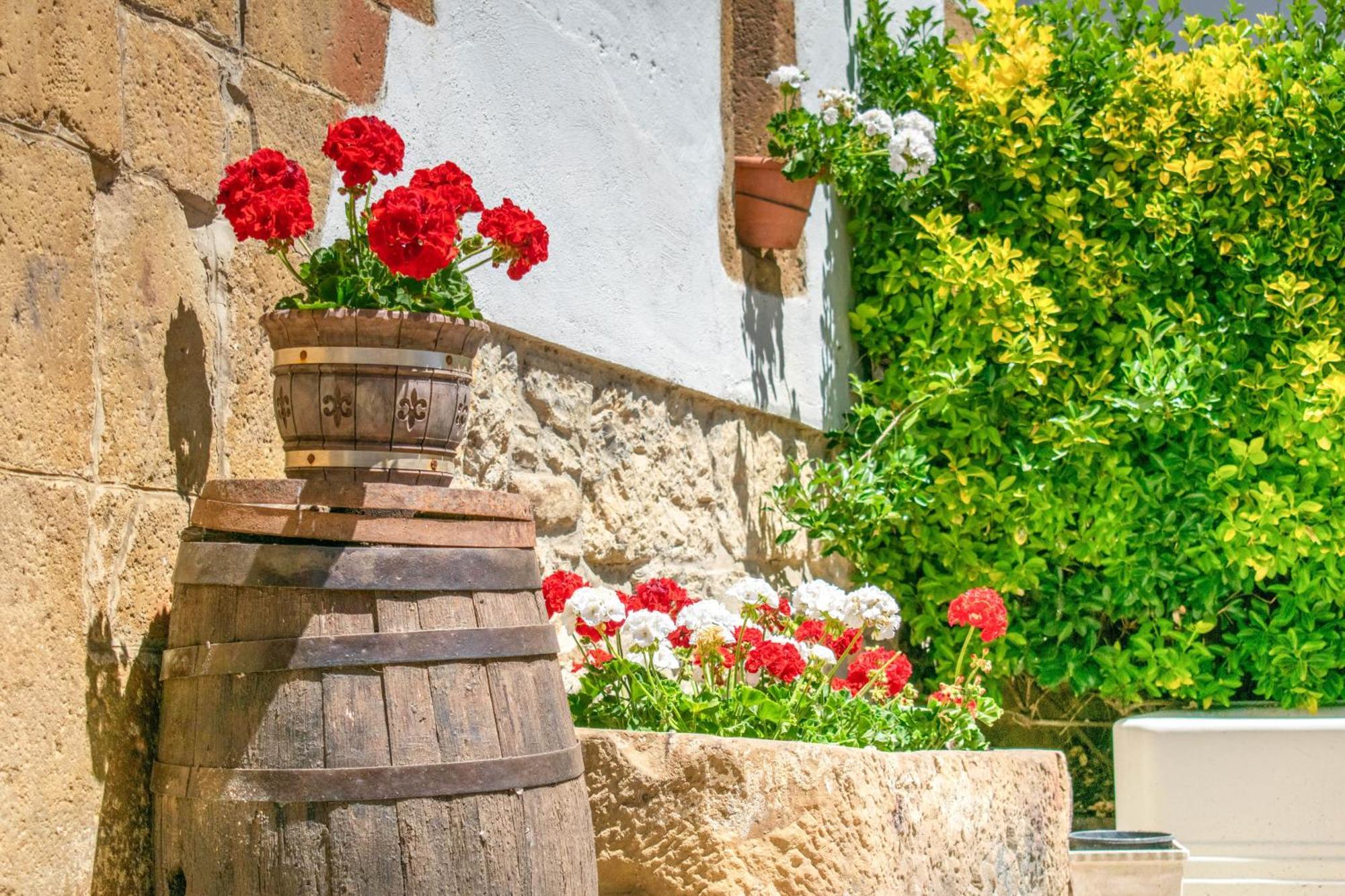 Casa Rural Arotzenia, Hogar Rustico En Pleno Valle De La Ulzama Lizaso Екстер'єр фото